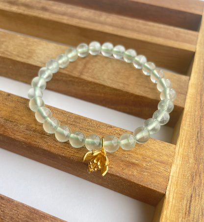 Lotus Blooming Natural Prehnite Energy Bracelets 6MM