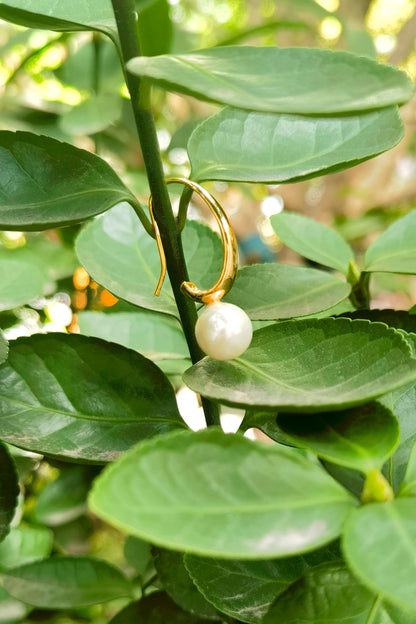 Literary Retro Style Pearl Drop Gold Earrings